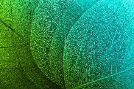 Adobe Stock 64850582
