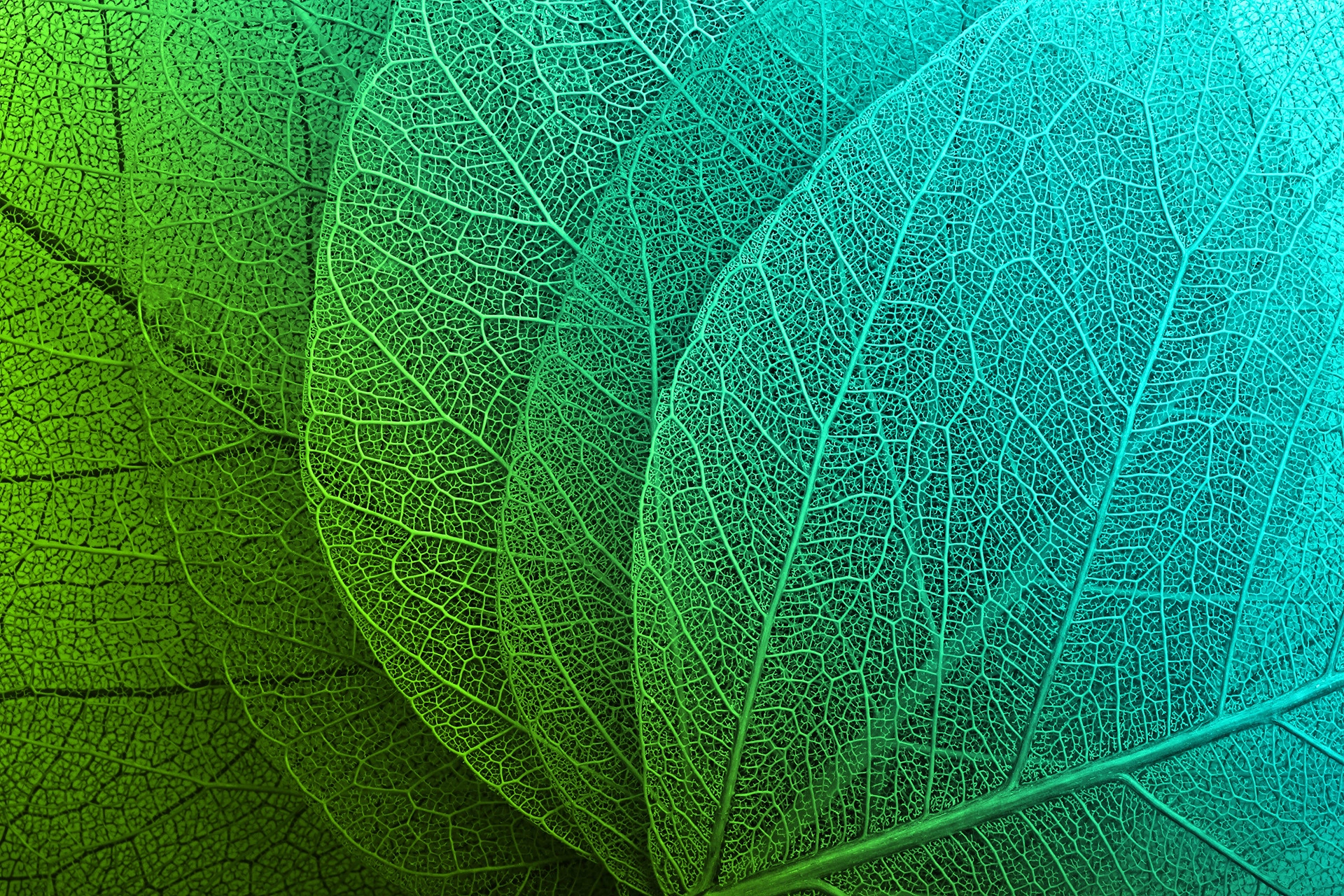 Adobe Stock 64850582