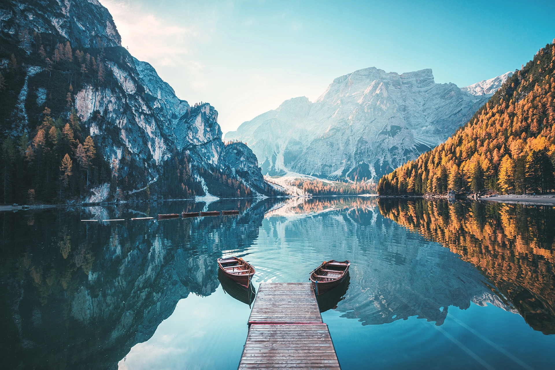 Adobe Stock 287909239